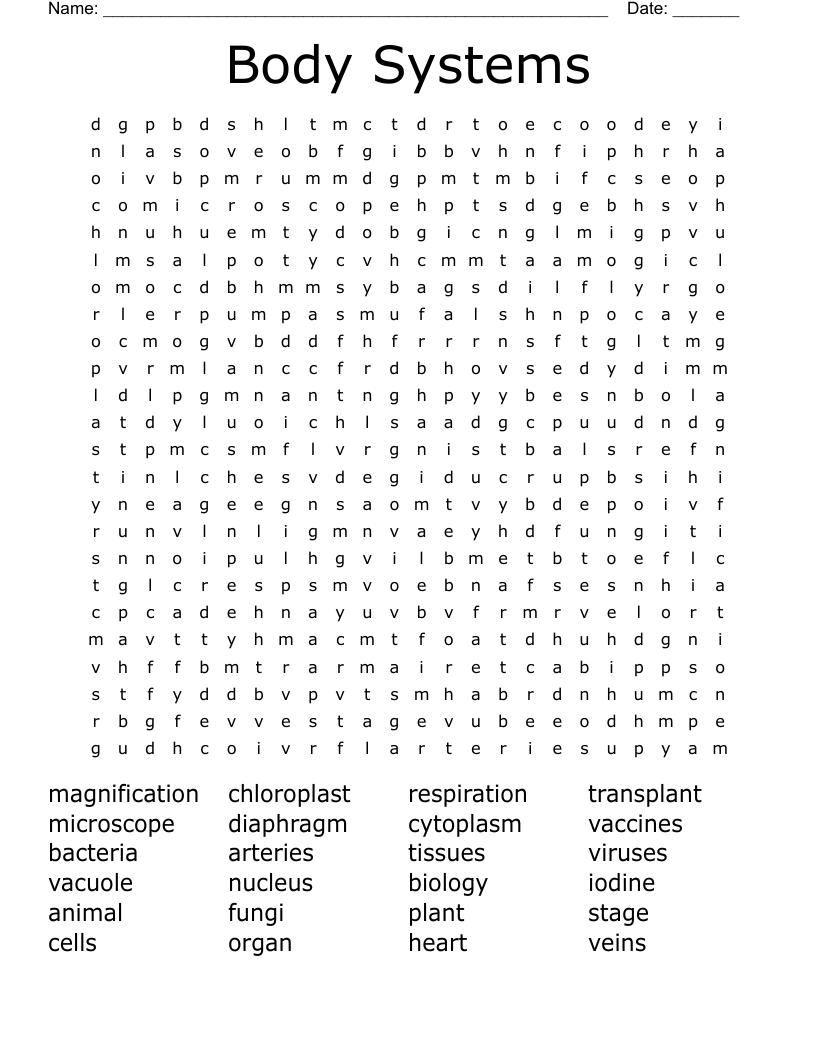 Body Systems Word Search