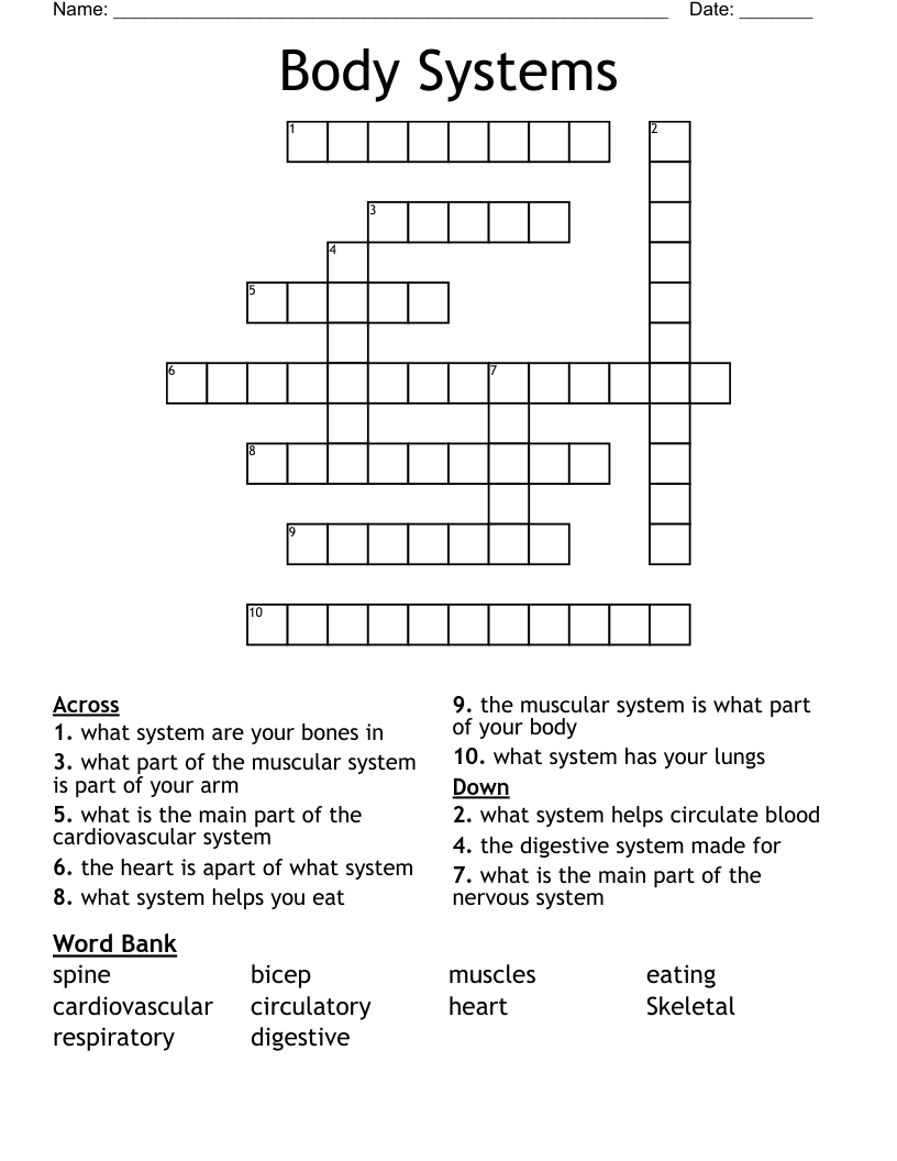 Body Systems Crossword