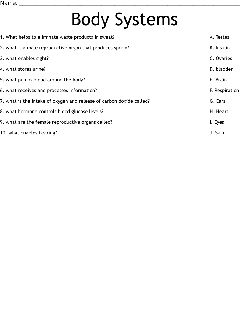 Body Systems Worksheet