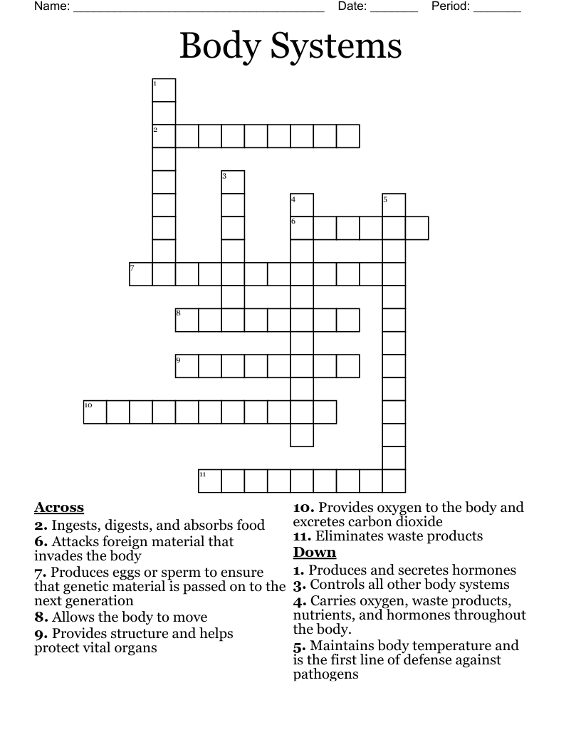 Body Systems Crossword