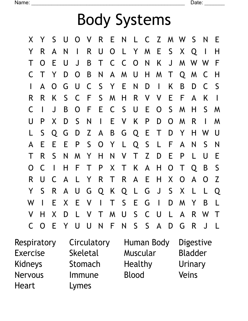 Body Systems Word Search