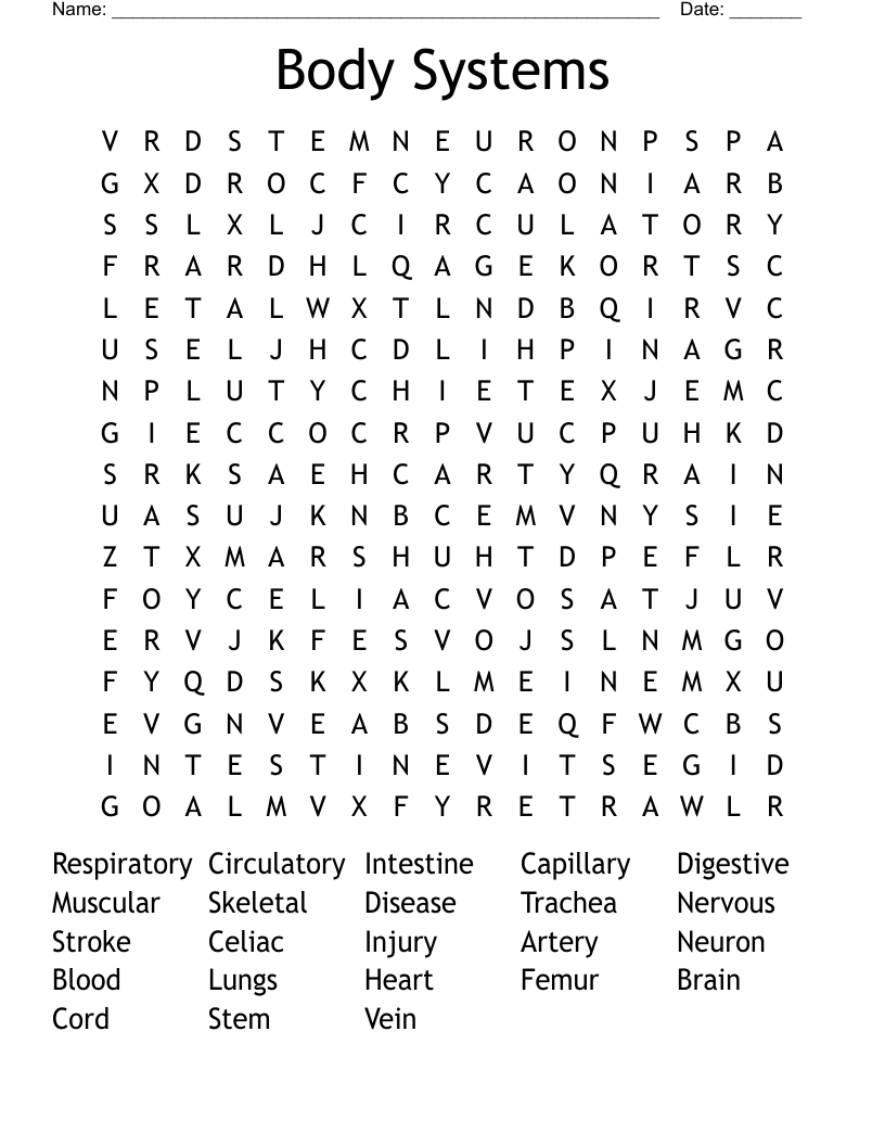 Body Systems Word Search