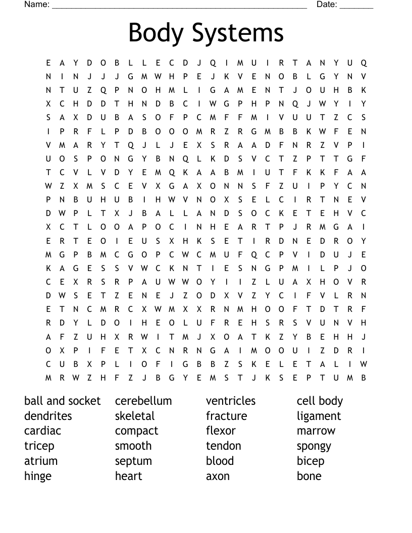 Body Systems Word Search