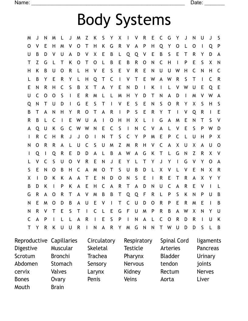 Body Systems Word Search