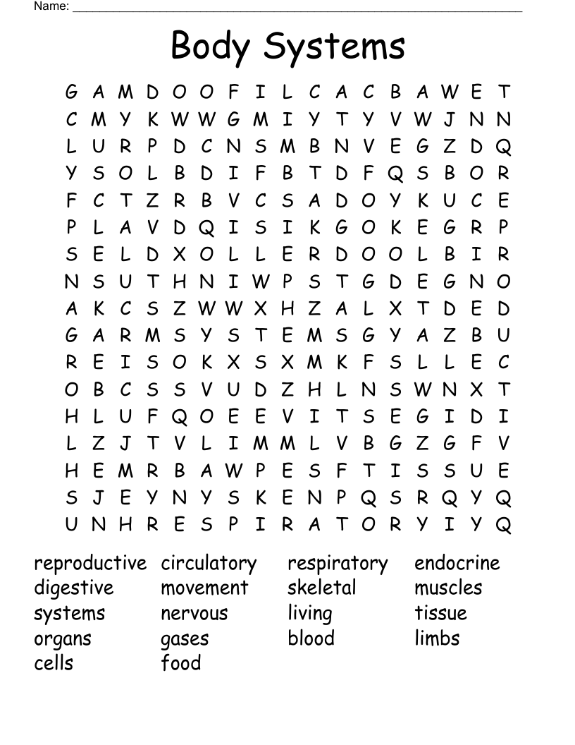 Body Systems Word Search