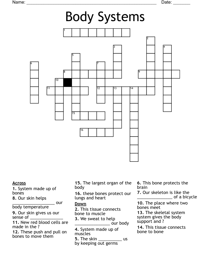 Body Systems Crossword