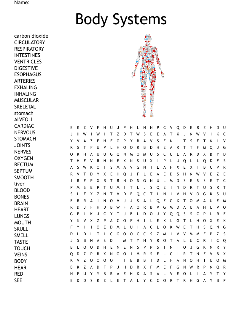 Body Systems Word Search