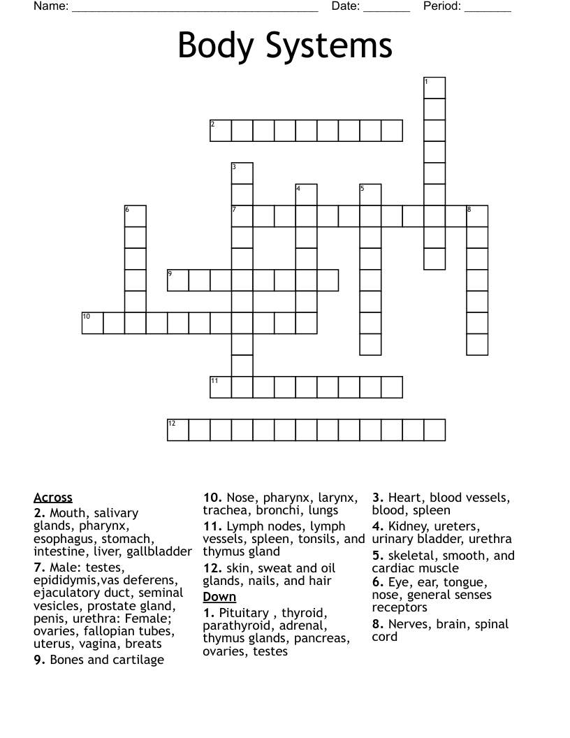 Body Systems Crossword