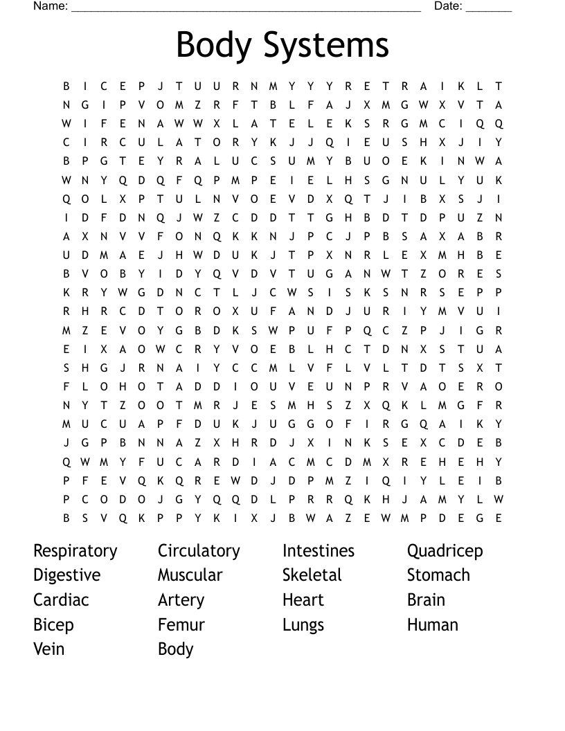 Body Systems Word Search