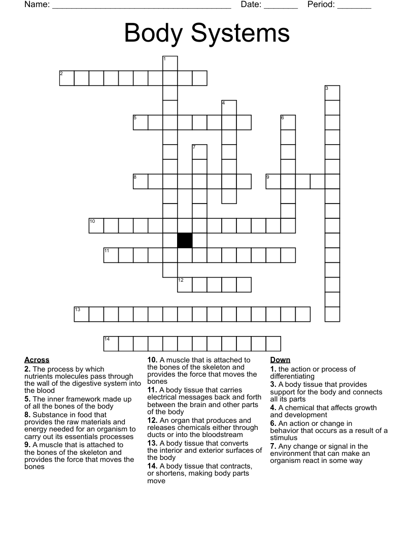 Body Systems Crossword