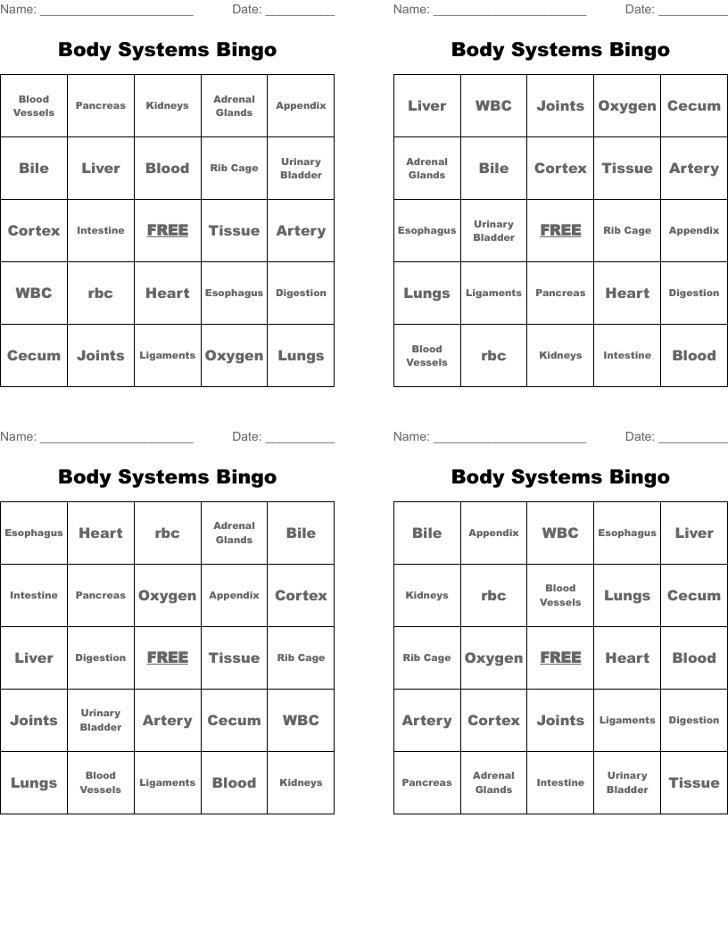 Body Systems Bingo
