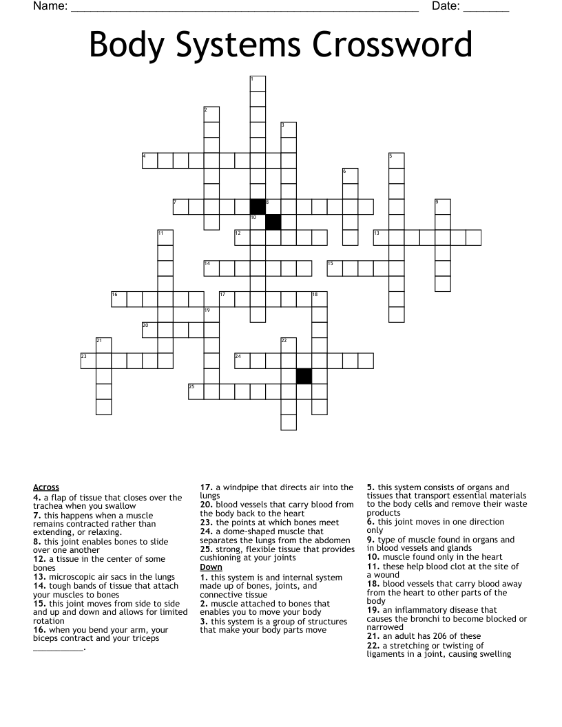 Body Systems Crossword