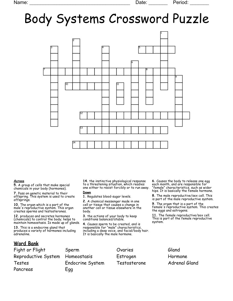 Body Systems Crossword Puzzle