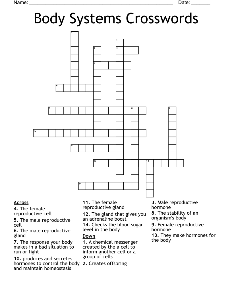 Body Systems Crosswords
