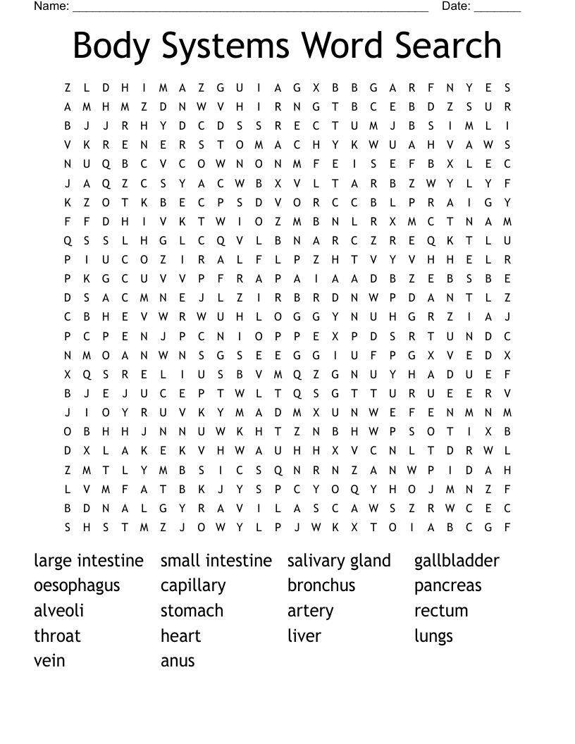 Body Systems Word Search