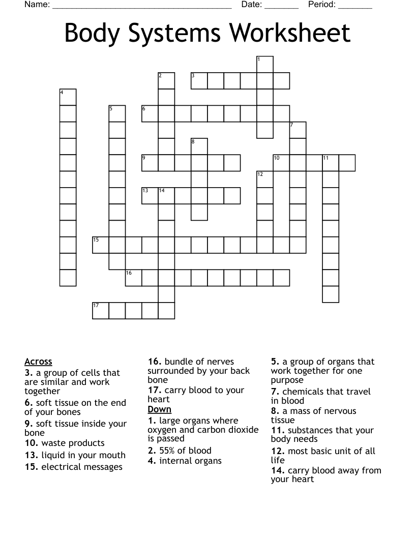 Body Systems Worksheet Crossword
