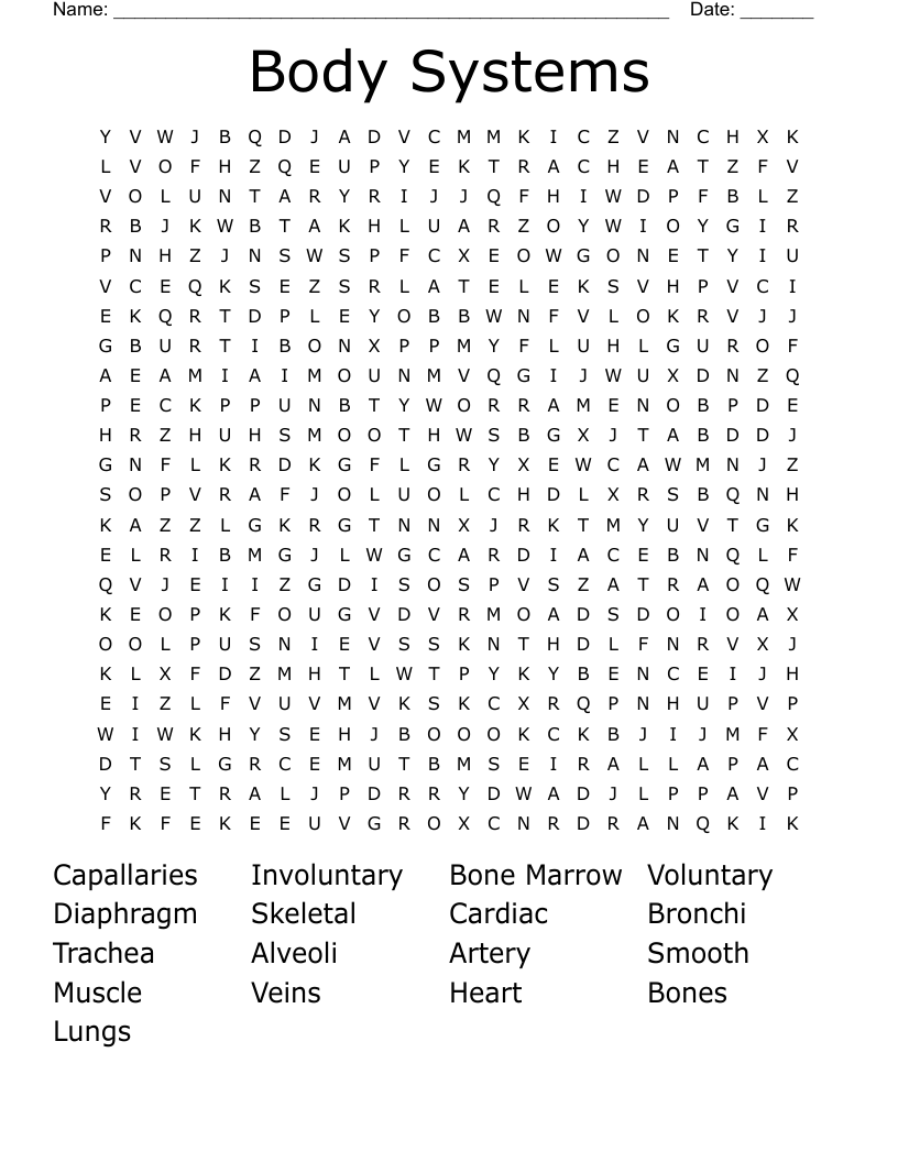 Body Systems  Word Search