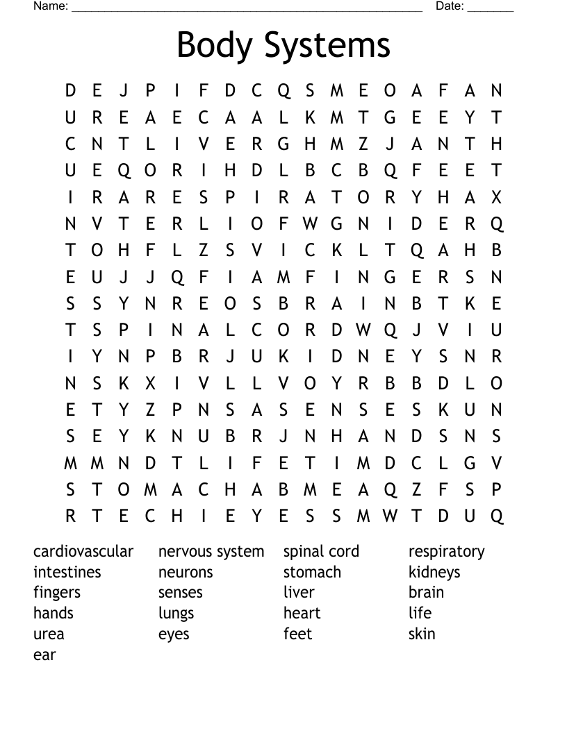Body Systems  Word Search