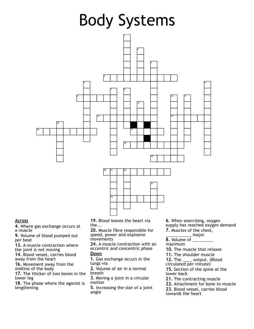 Body Systems  Crossword