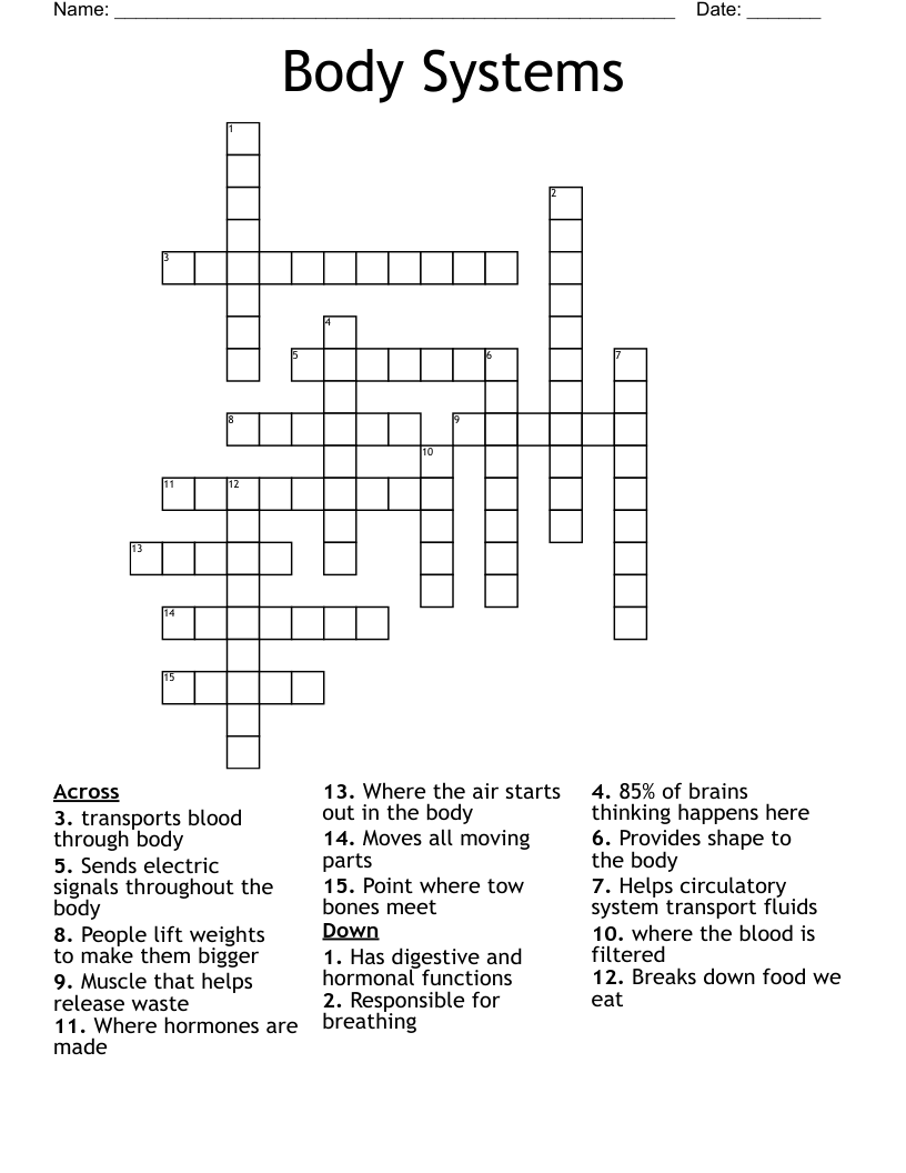 Body Systems  Crossword