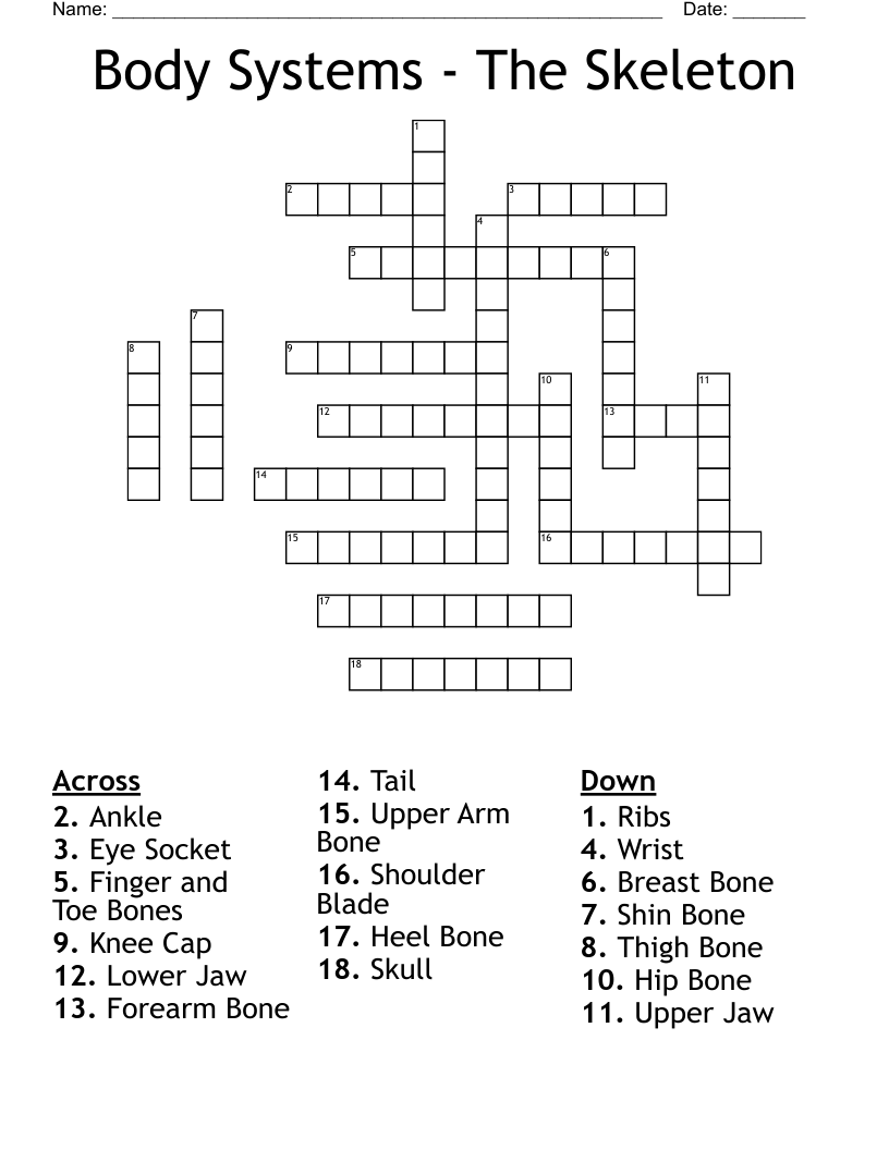 Body Systems - The Skeleton Crossword
