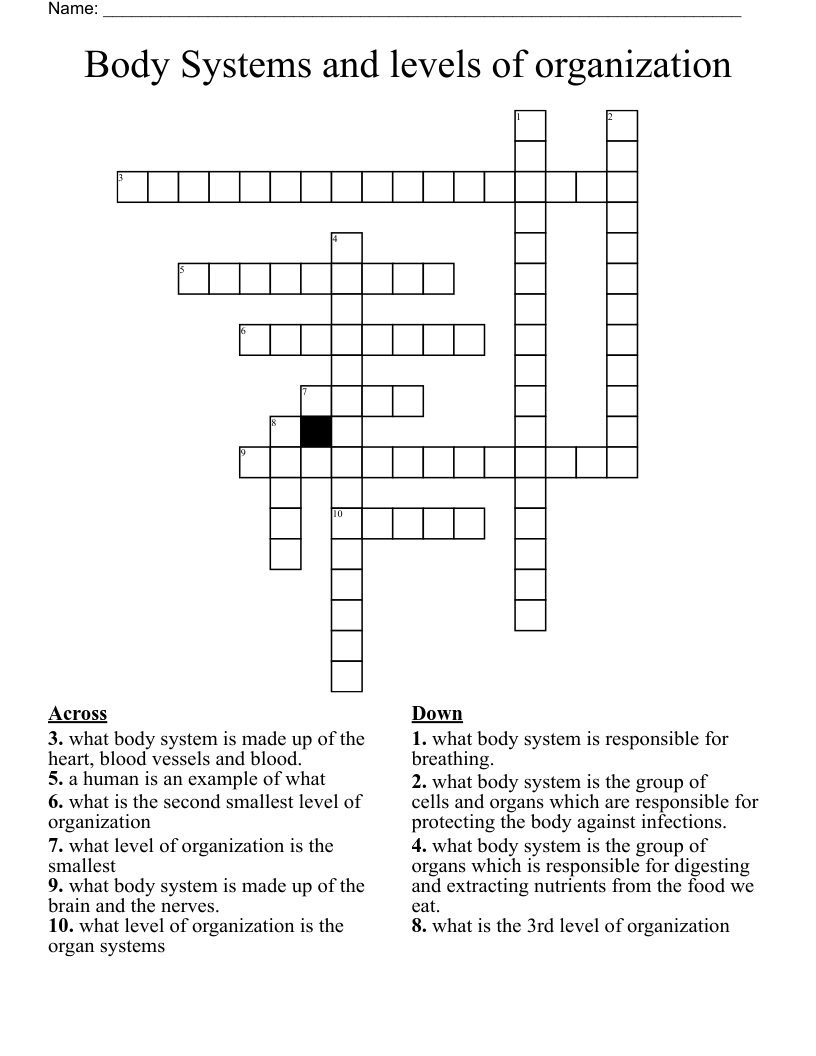 Body Systems and levels of organization Crossword