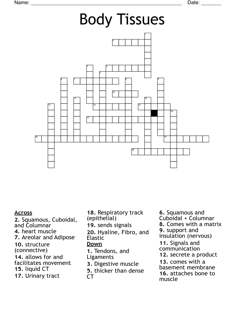Body Tissues  Crossword