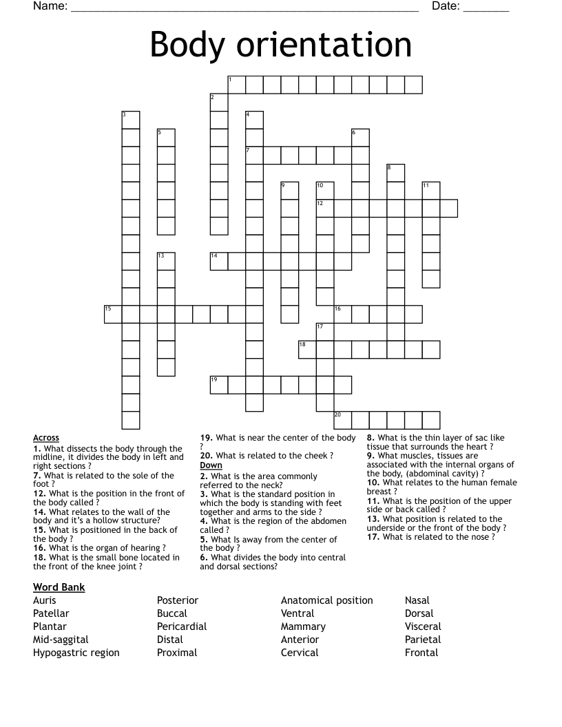 Body orientation  Crossword