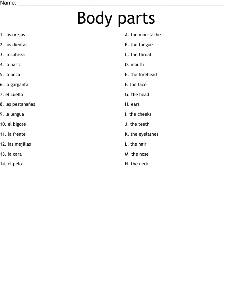 Body parts Worksheet