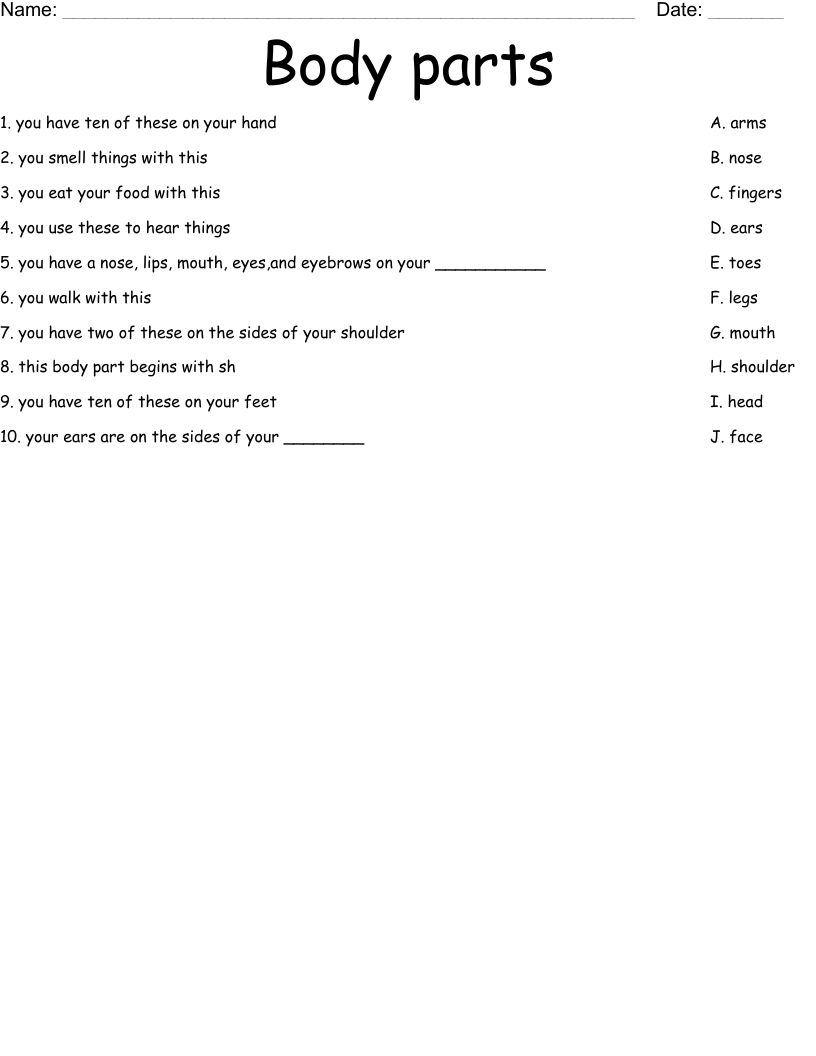 Body parts Worksheet