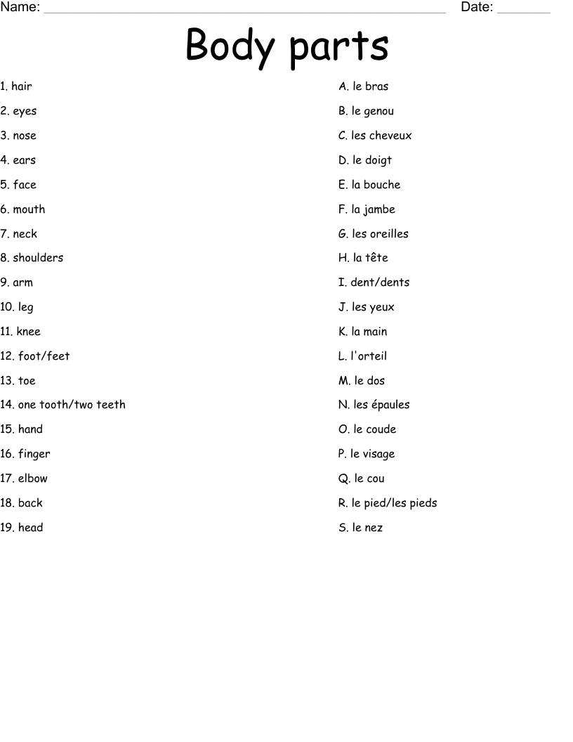 Body parts Worksheet