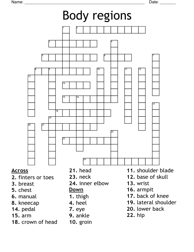 Body regions Crossword