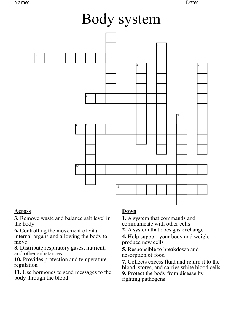 Body system Crossword