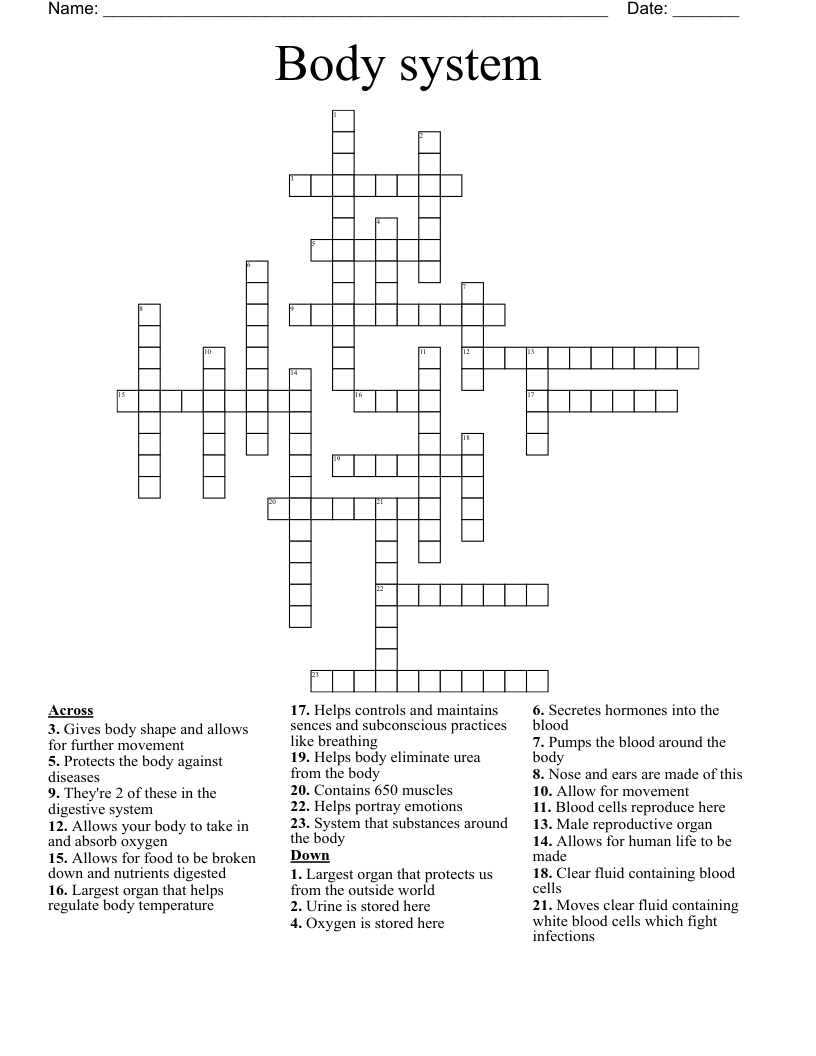 Body system  Crossword