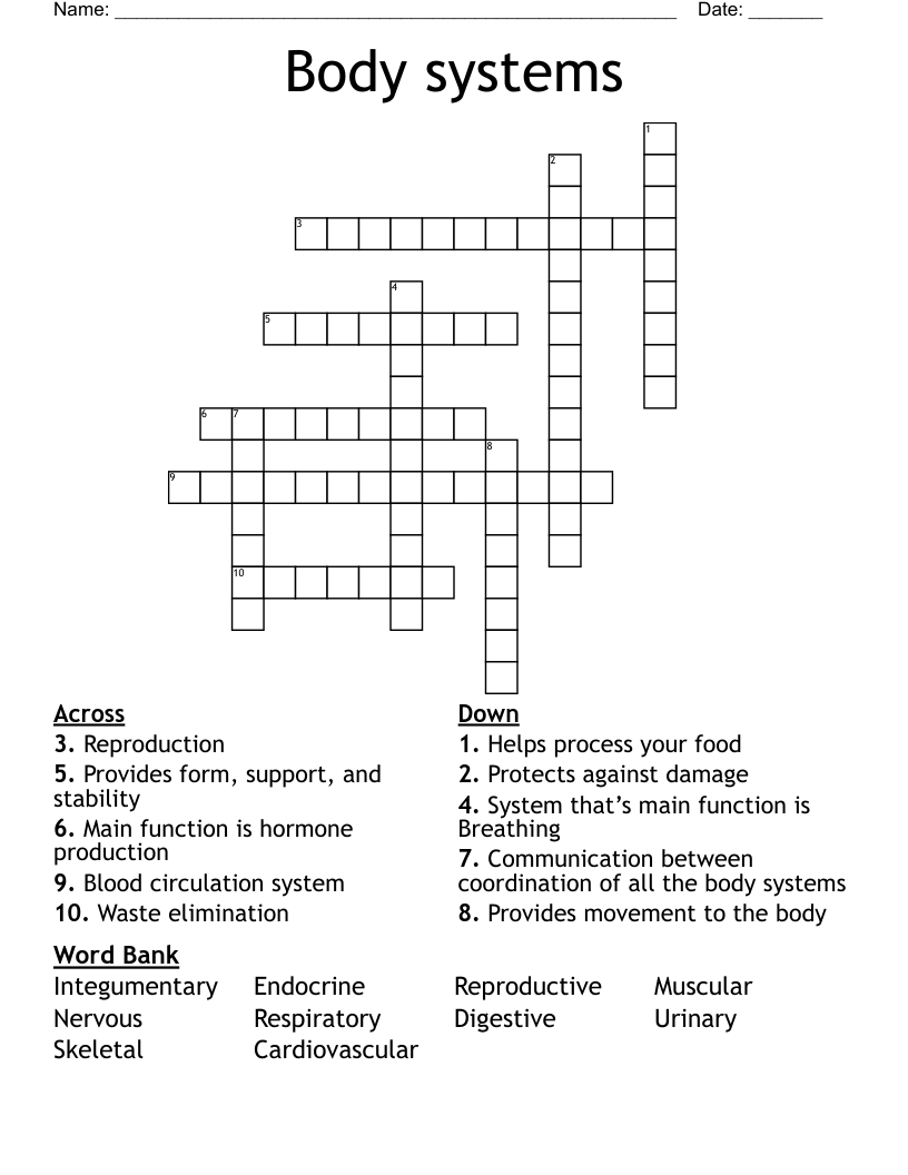 Body systems Crossword