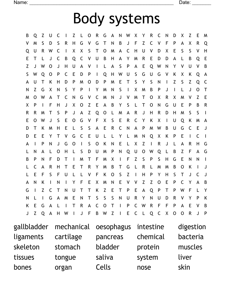 Body systems  Word Search