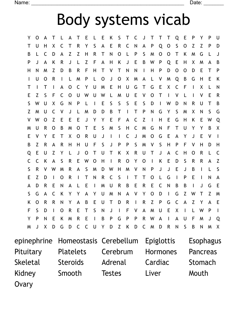 Body systems vicab Word Search