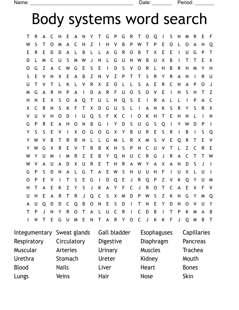 Body systems word search