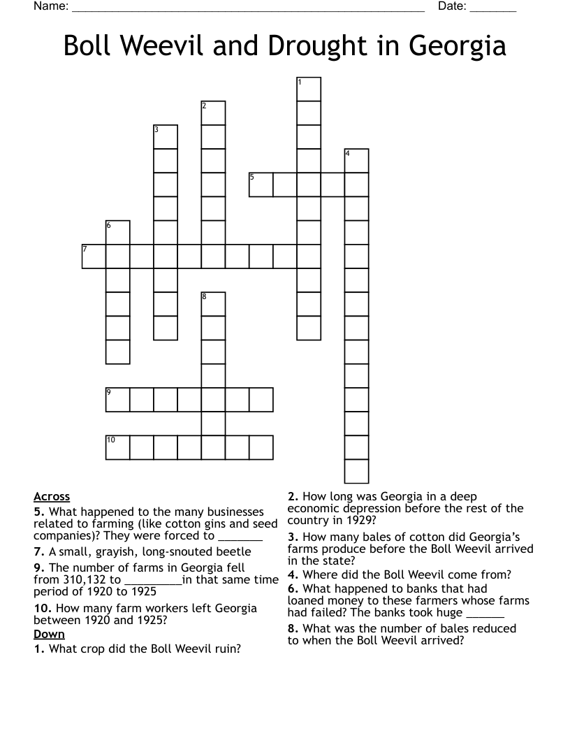 Boll Weevil and Drought in Georgia  Crossword