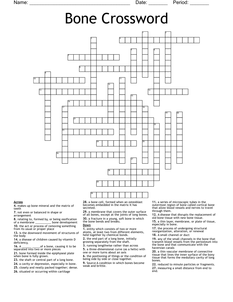 Bone Crossword