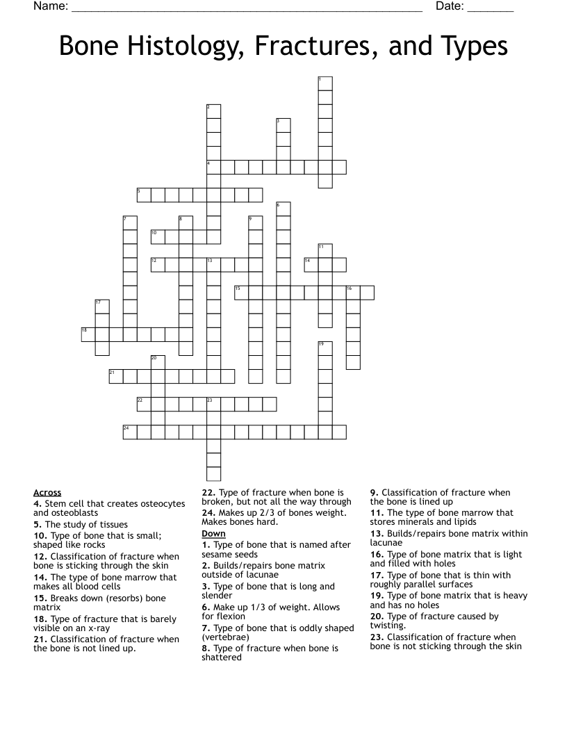 Bone Histology, Fractures, and Types Crossword
