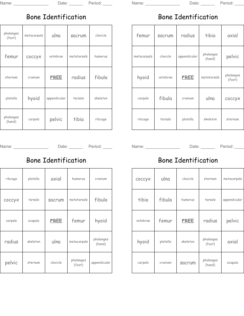 Bone Identification Bingo Cards