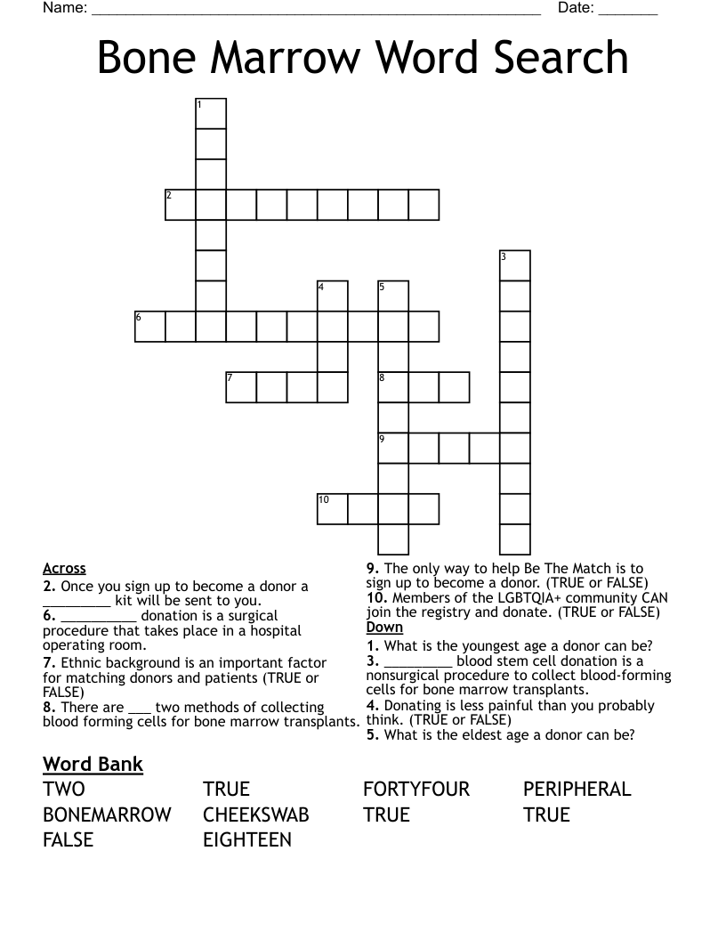 Bone Marrow Word Search  Crossword