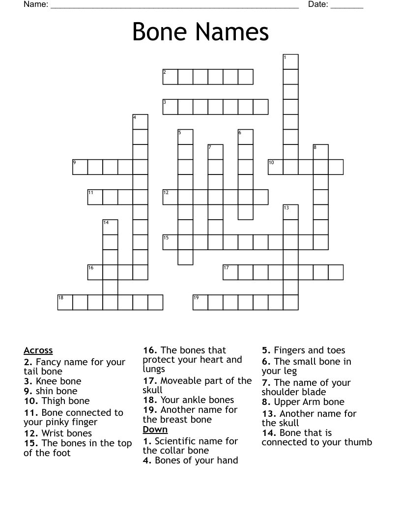 Bone Names Crossword