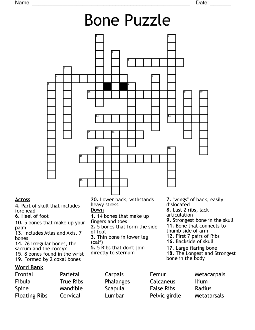 Bone Puzzle Crossword