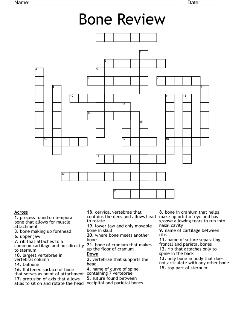 Bone Review Crossword
