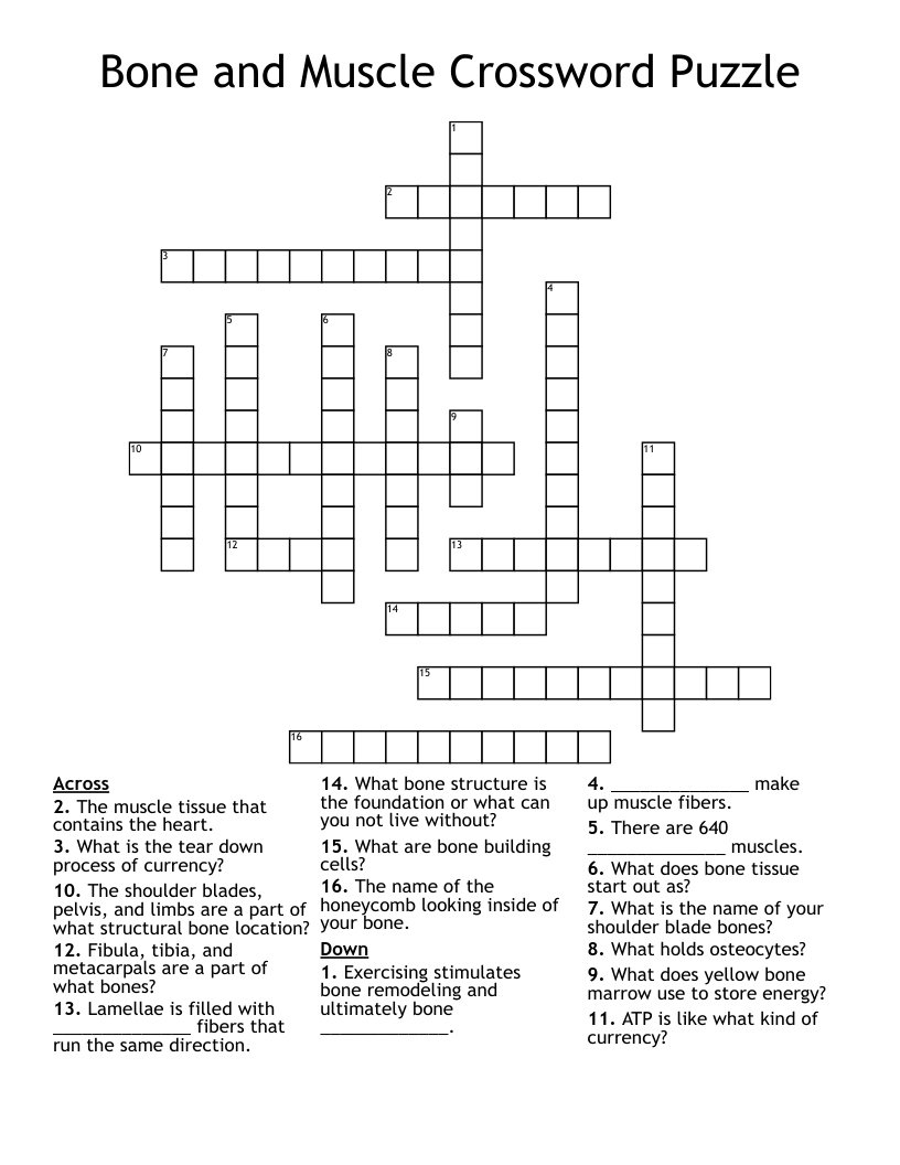 Bone and Muscle Crossword Puzzle 