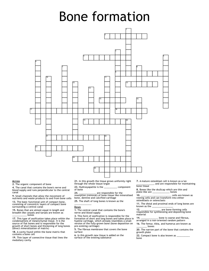 Bone formation Crossword