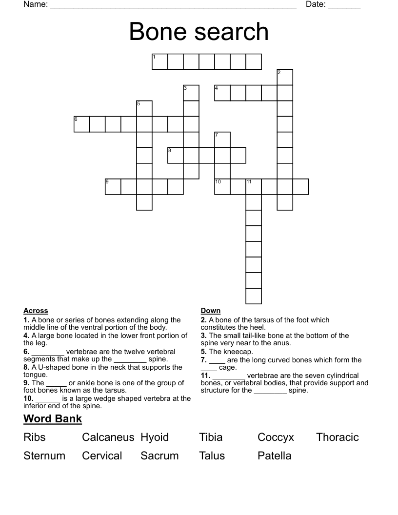 Bone search Crossword