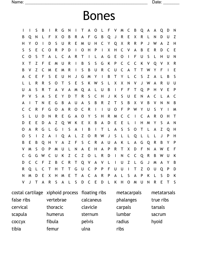 Bones Word Search